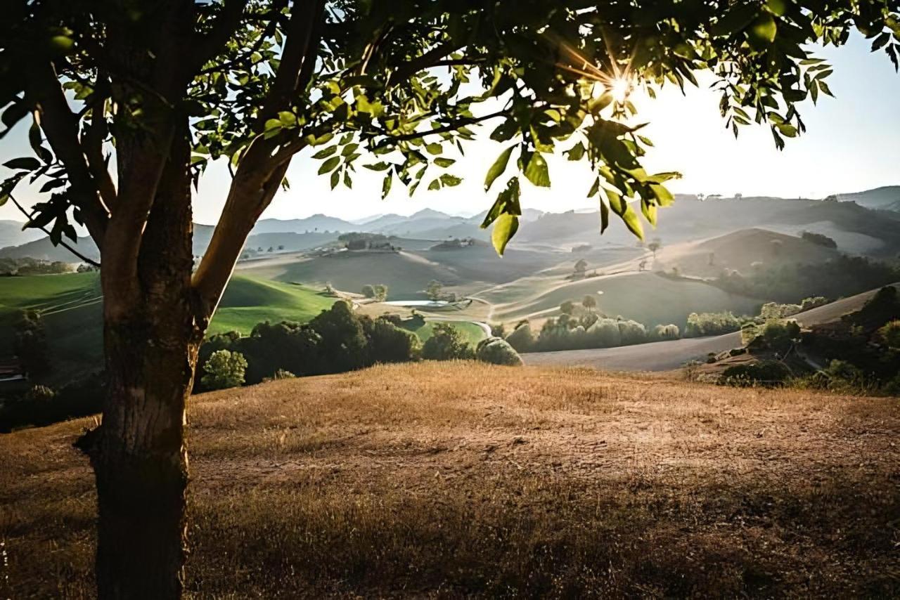 Ca' Gulino - Urbino - Villa Con Minipiscina In Borgo Antico Buitenkant foto