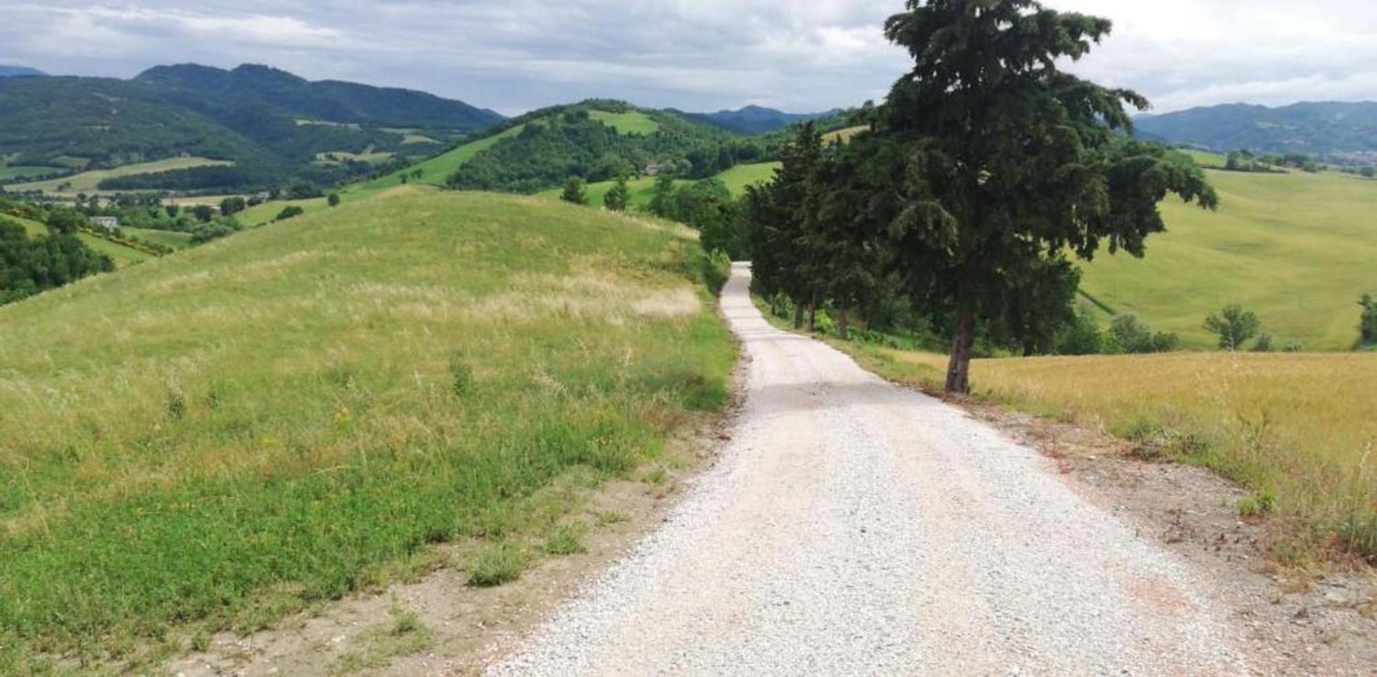 Ca' Gulino - Urbino - Villa Con Minipiscina In Borgo Antico Buitenkant foto