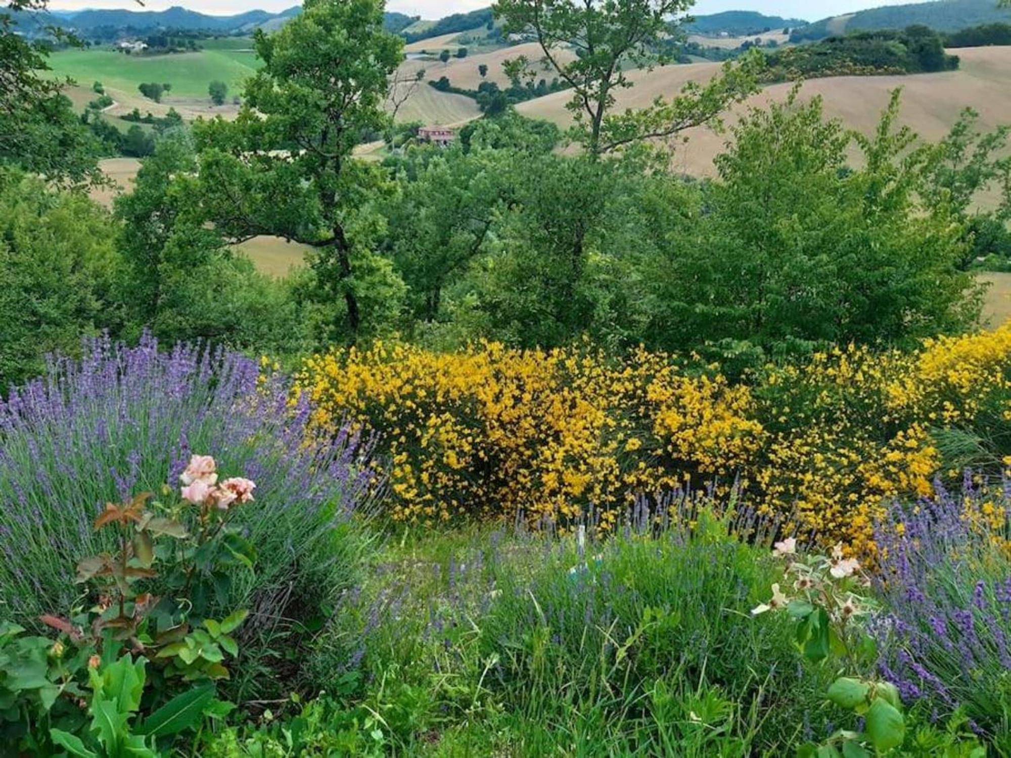 Ca' Gulino - Urbino - Villa Con Minipiscina In Borgo Antico Buitenkant foto