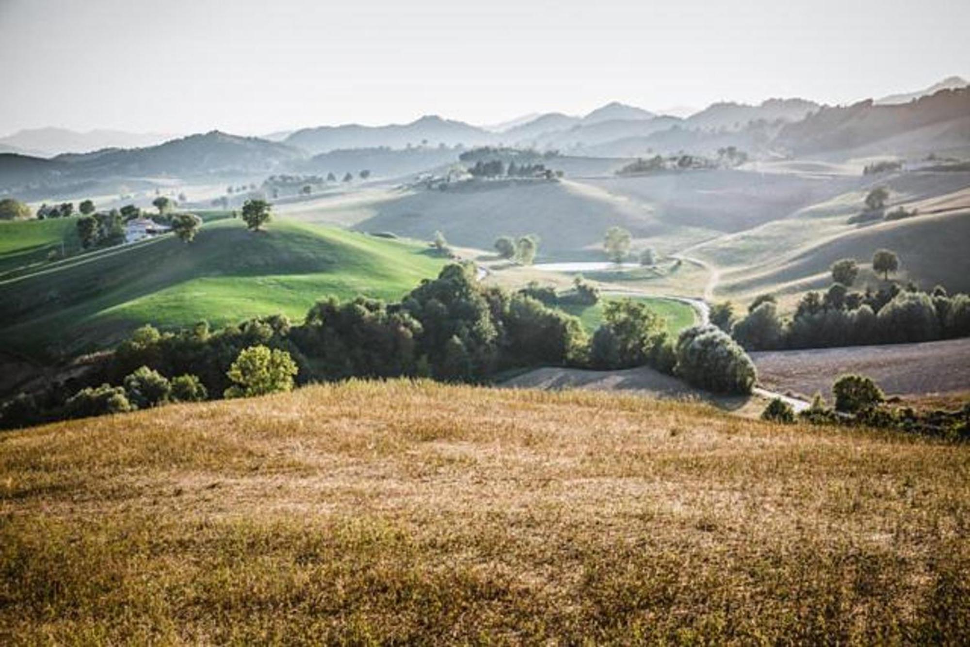 Ca' Gulino - Urbino - Villa Con Minipiscina In Borgo Antico Buitenkant foto