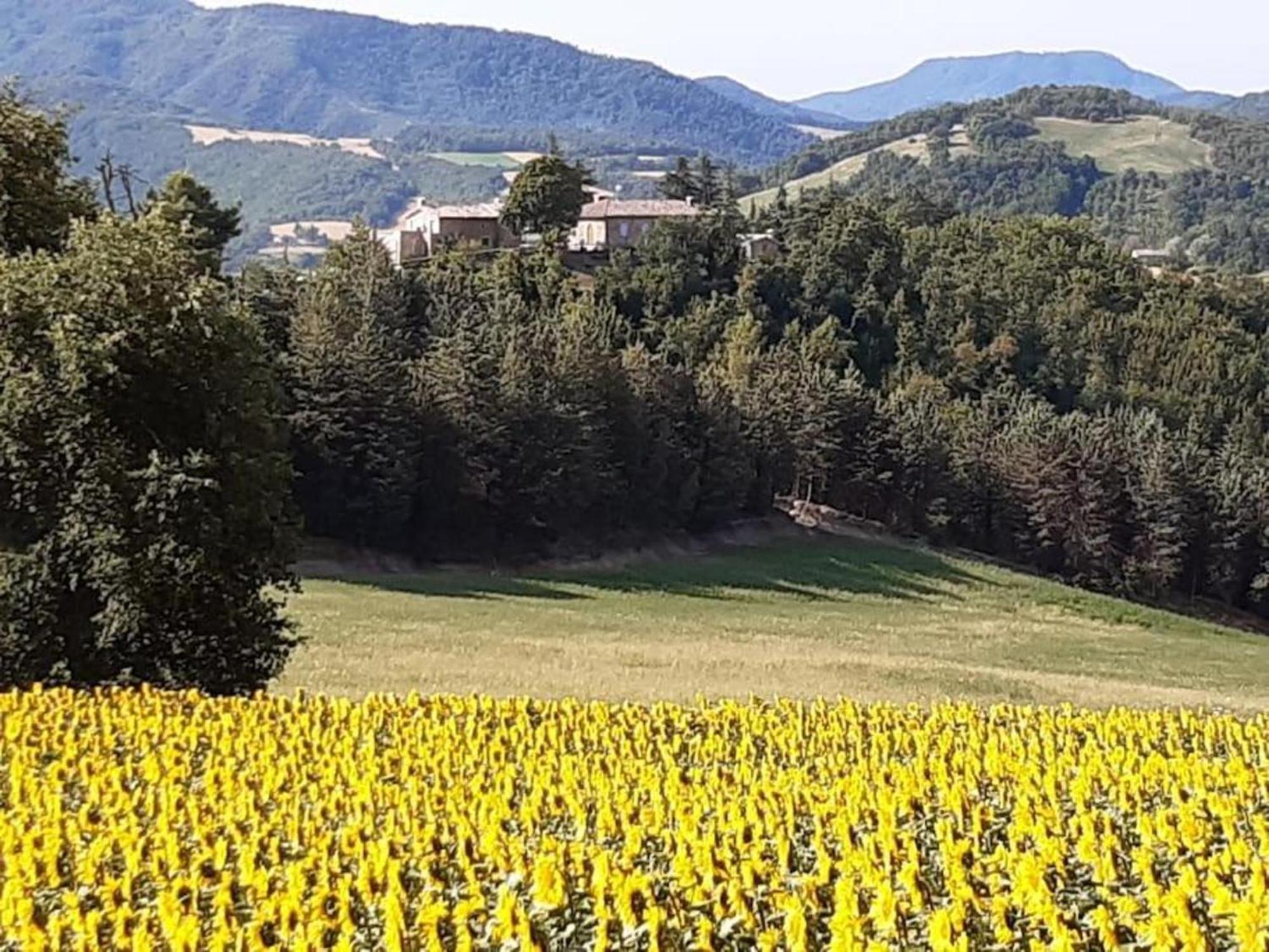 Ca' Gulino - Urbino - Villa Con Minipiscina In Borgo Antico Buitenkant foto